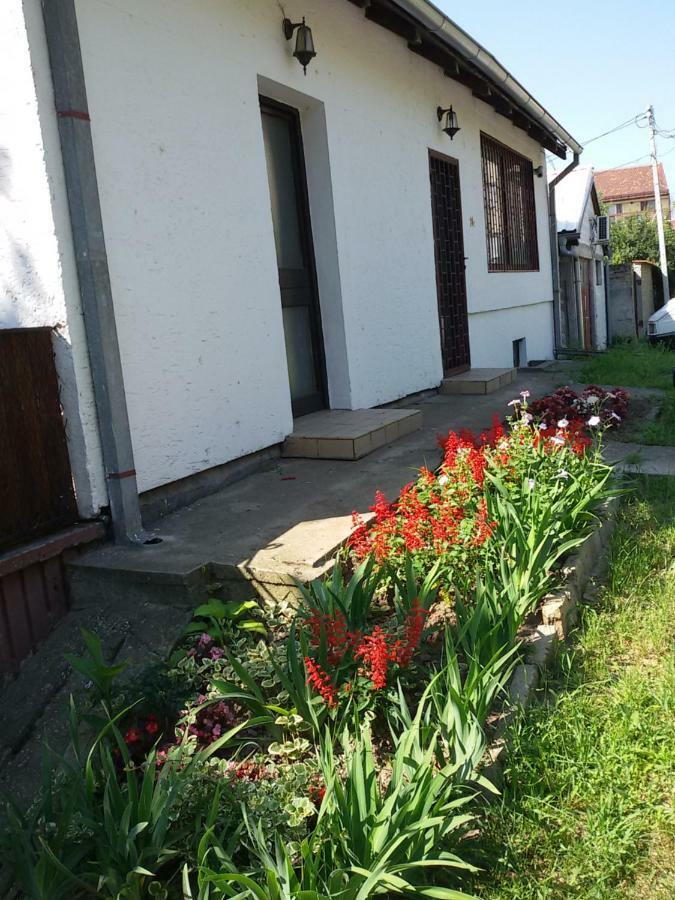 Pančevo Apartman Romy מראה חיצוני תמונה